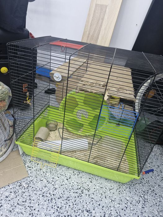 Duza klatka dla gryzonia myszoskoczka szynszyla.