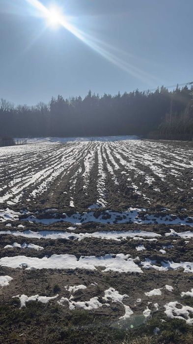 Działka w Wólce Lesiewskiej z możliwością zabudowy