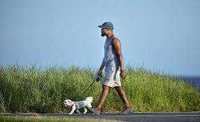 Dog Walker com alguns anos de experiência.