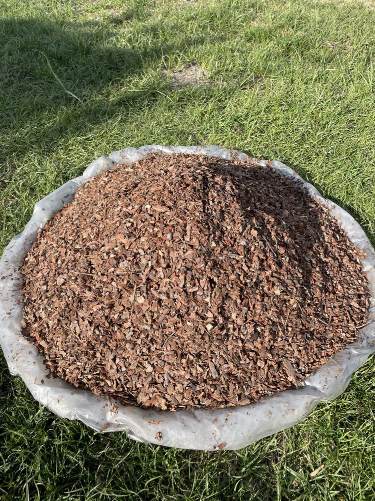 Кора соснова по фракціях оптом, мульча, кора декоративна
