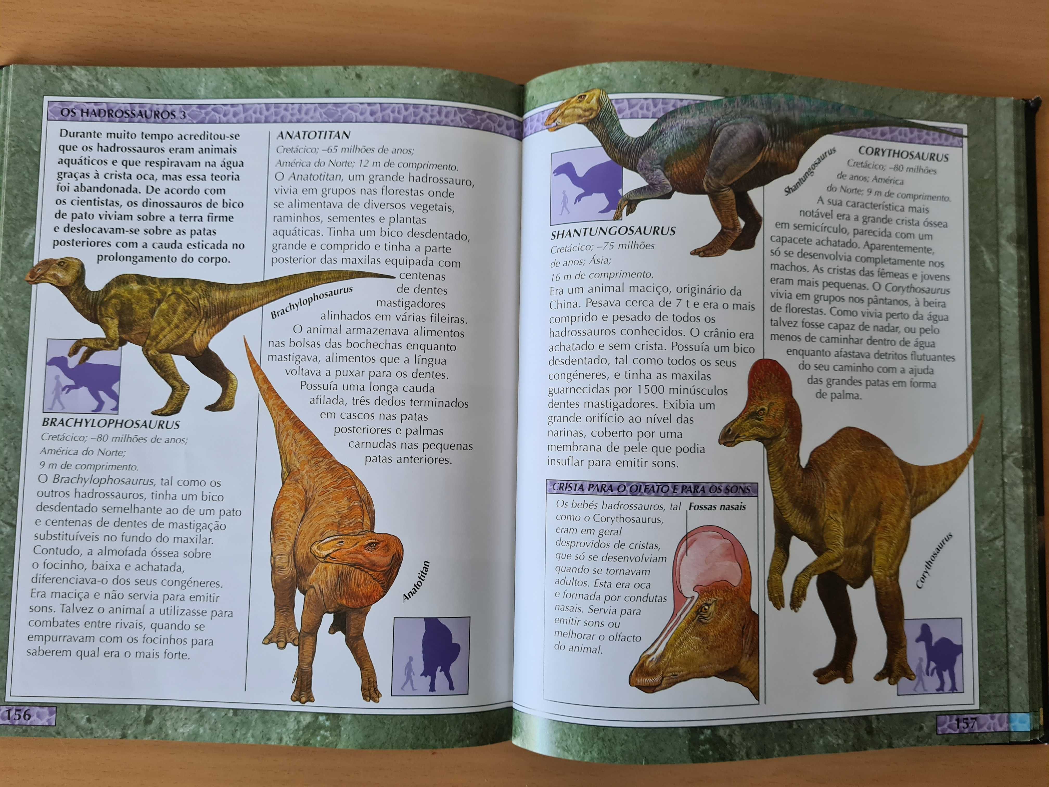 Enciclopédia dos Dinossauros e de Outros animais Pré-Históricos