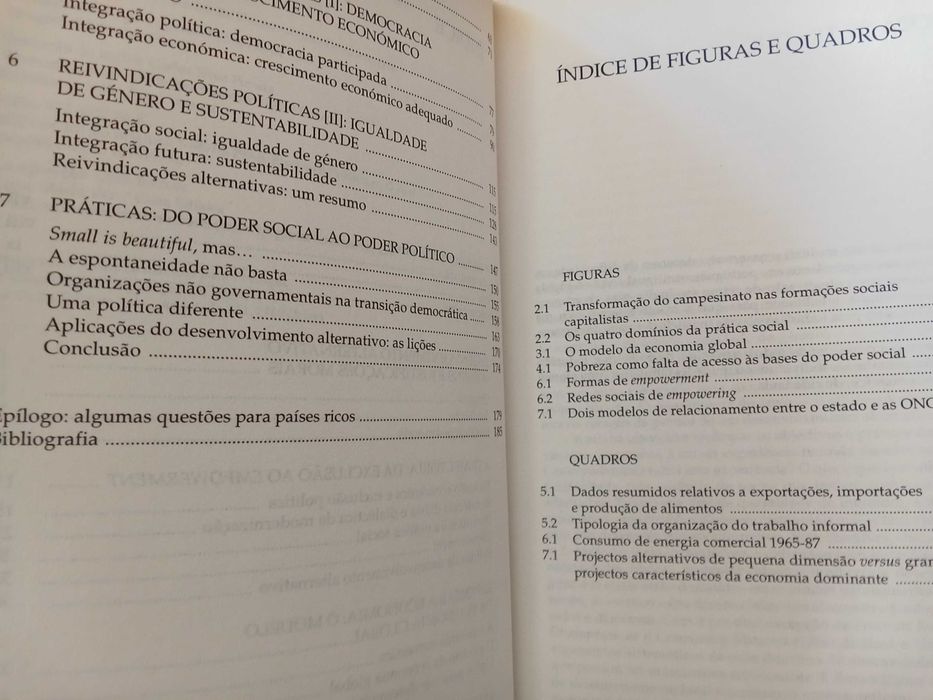 John Friedmann - Empowerment