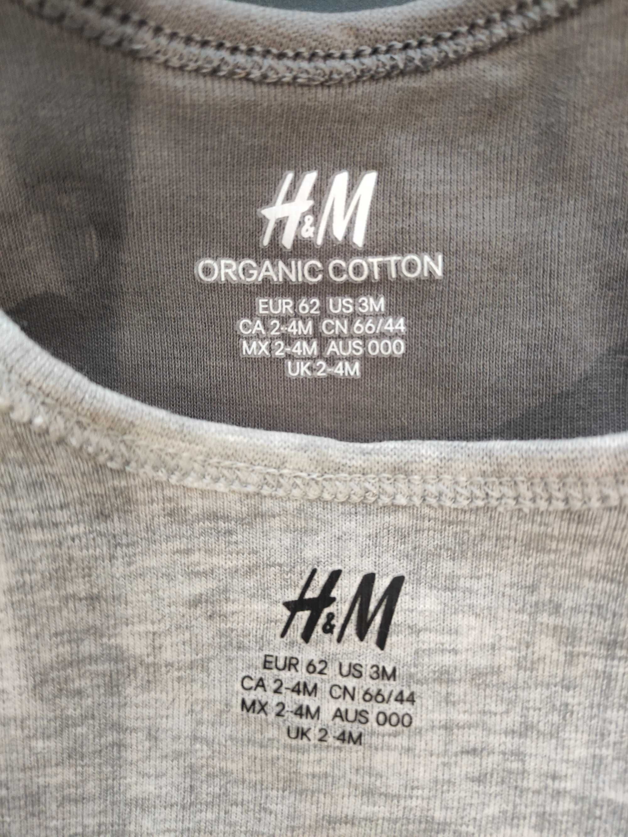 Боді H&M 2 шт. з довгим рукавом 62 см до 3 місяців