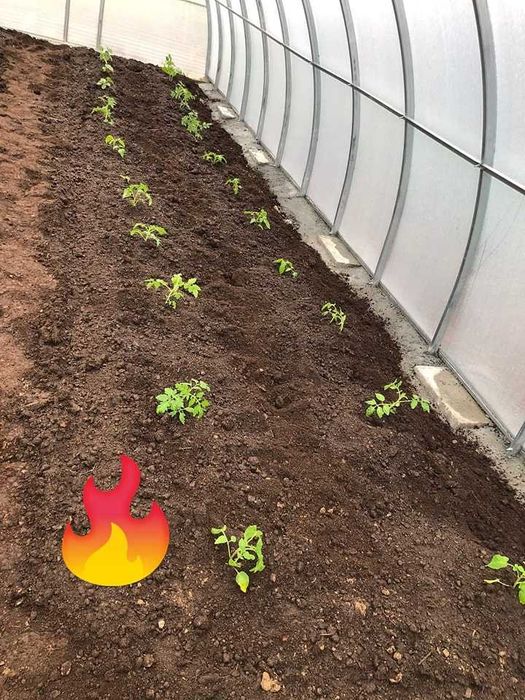 Ziemia Przesiewana humus czarnoziem ogrodowa