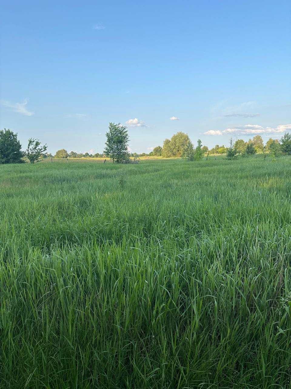 Продам земельну ділянку на першій лінії річки Десна!