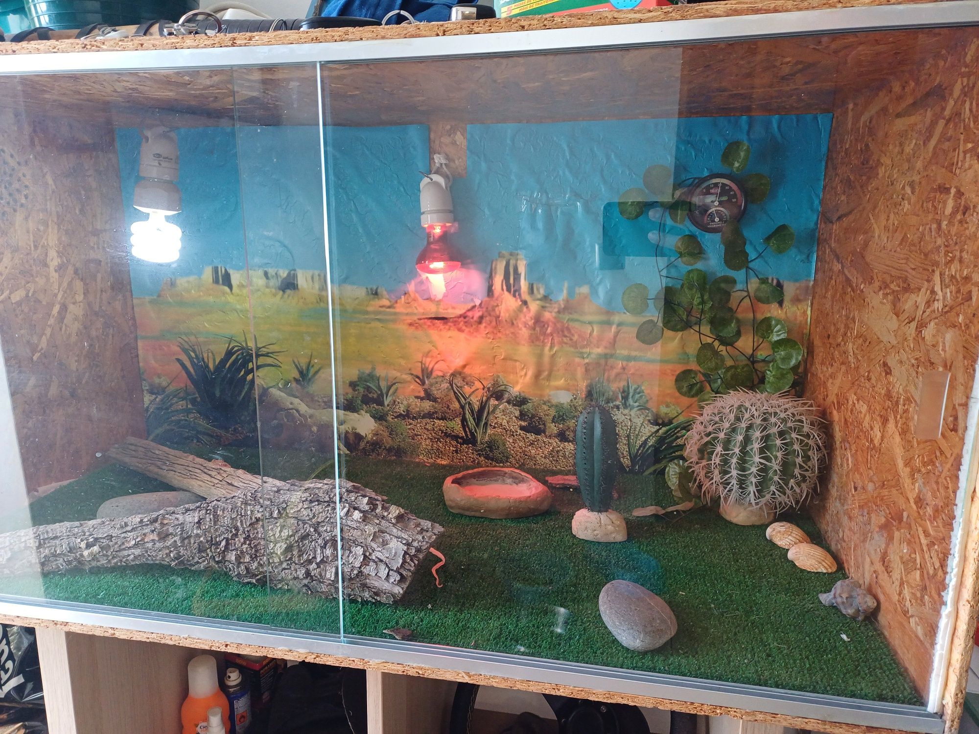 Terrario para répteis com acessorios