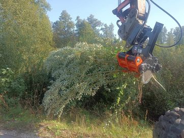 Wycinka krzaków, zbieranie gałęzi, karczowanie