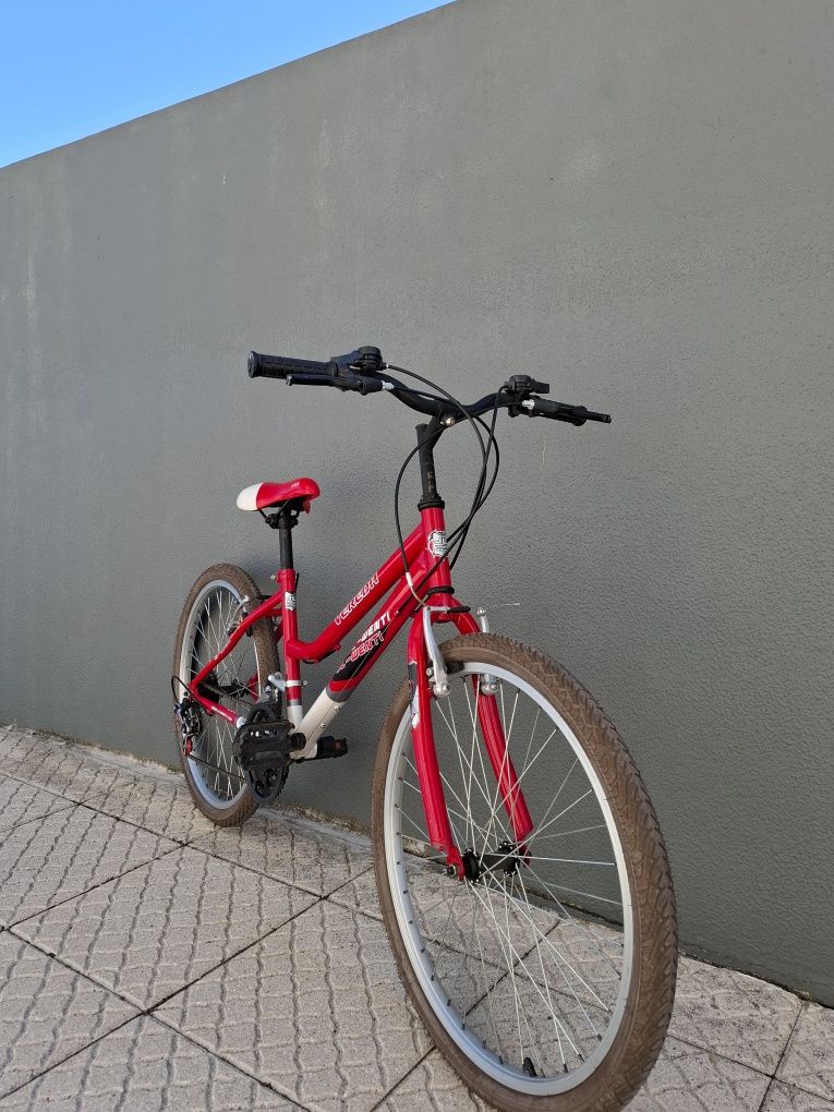 bicicleta JL-WENTI