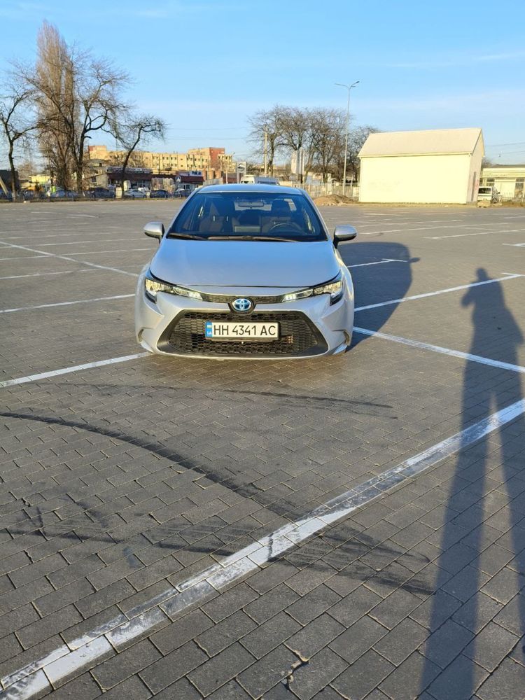 Сдача авто в аренду