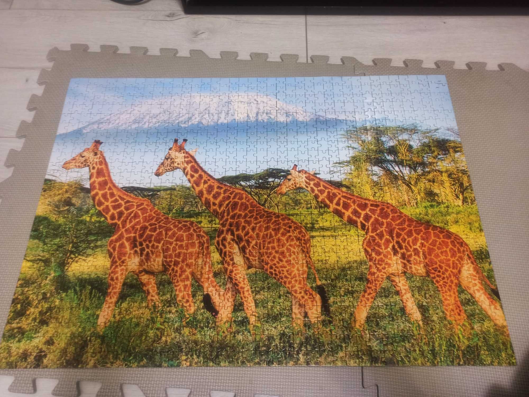 Puzzle 1000 kompletne