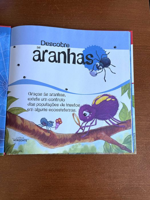 Descobre as Aranhas - Alejandri Algarra