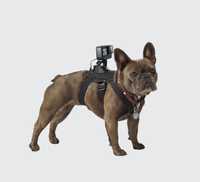 Suporte canino GoPro