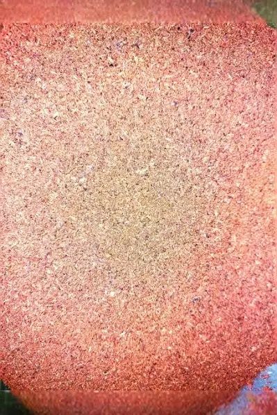 Nagietek lekarski kwiat suszony mielony 250 g zbiór Sudety