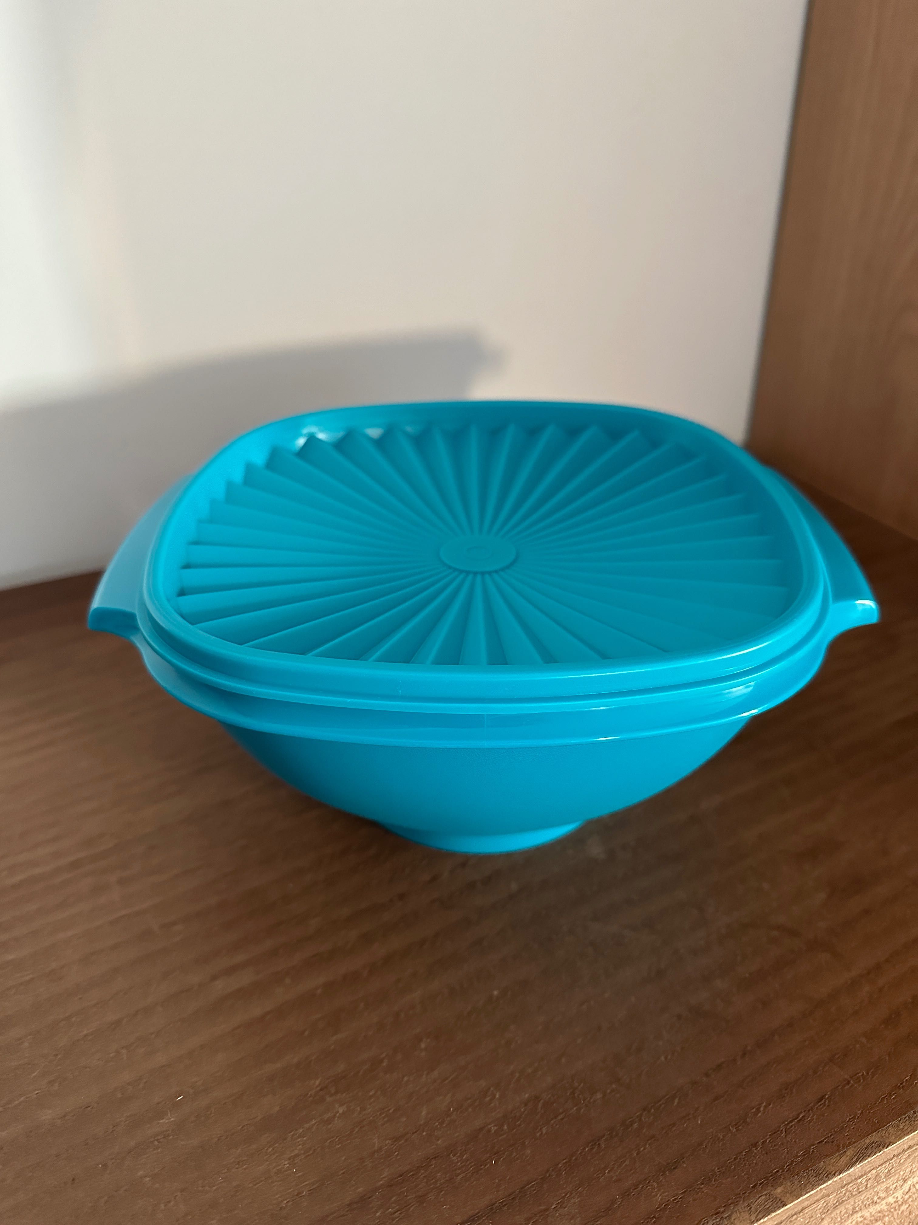 Caixa Majorete 1.9 L Tupperware
