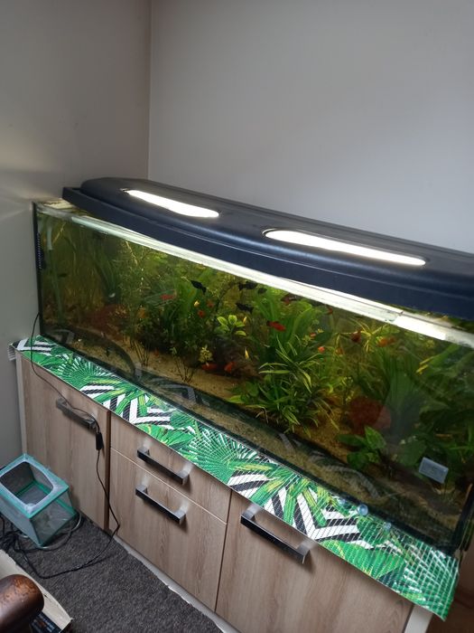 Akwarium 375l wraz z inwentarzem i sprzętem.