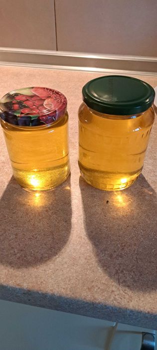 Świeży, domowy smalec gęsi / Smalec z gęsi 100%