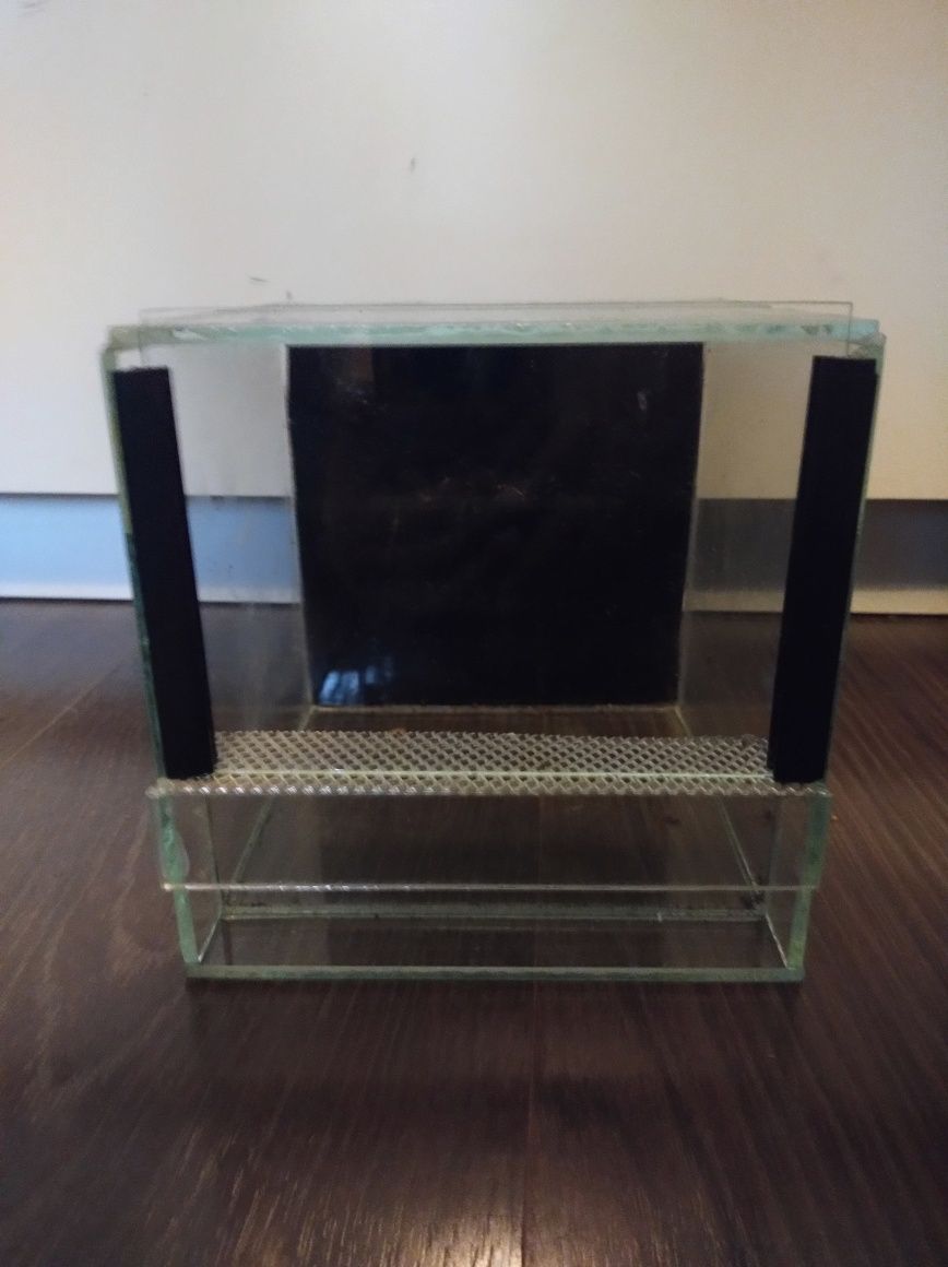 Terrarium 15x15x15 dla pająka lub skorpiona