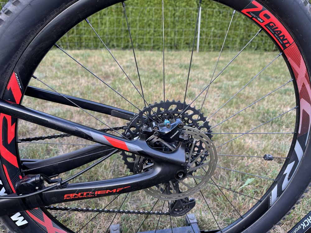 Giant Anthem Advanced Pro 1, roz L.