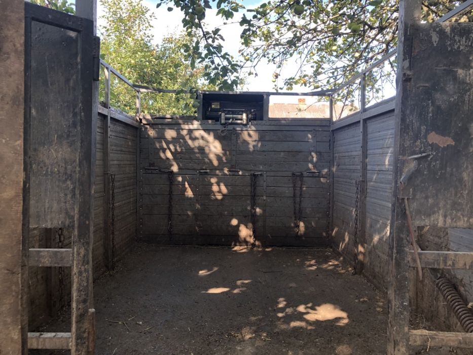 Перевезення худоби. Перевезення ВРХ(корови, свині, коні)! Скотовоз