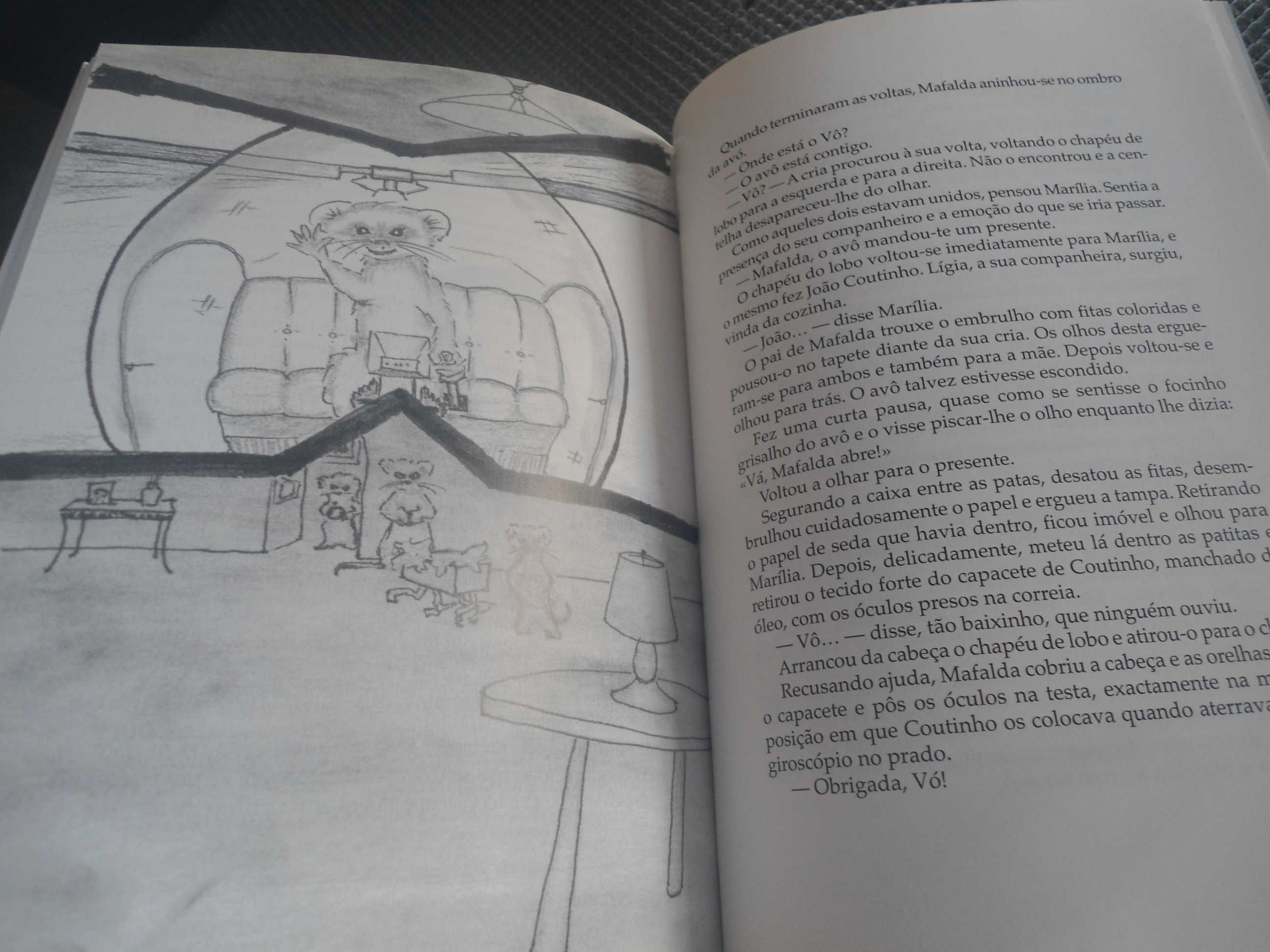 Crónicas dos Feitos dos Furões-Da + alta fronteira do Céu Richard Bach