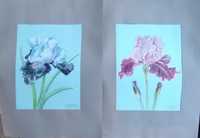 2 obrazy kwiaty pastele