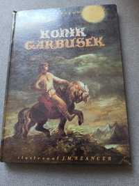 Książka Konik garbusek