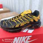 Nike Air Max TN 41