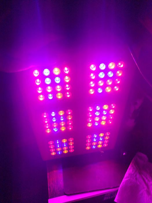 Luzes LED Phytolite NX2 300 para cultivar indoor