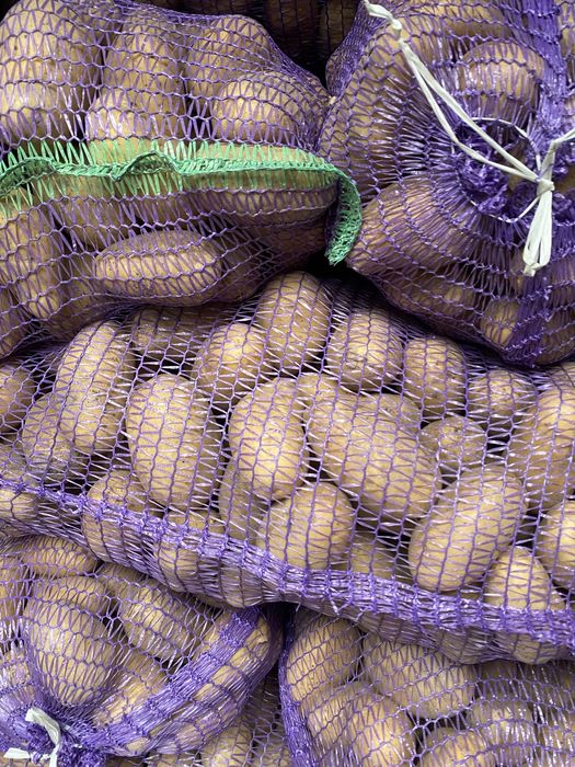 Картопля Велика. Ціна оптова