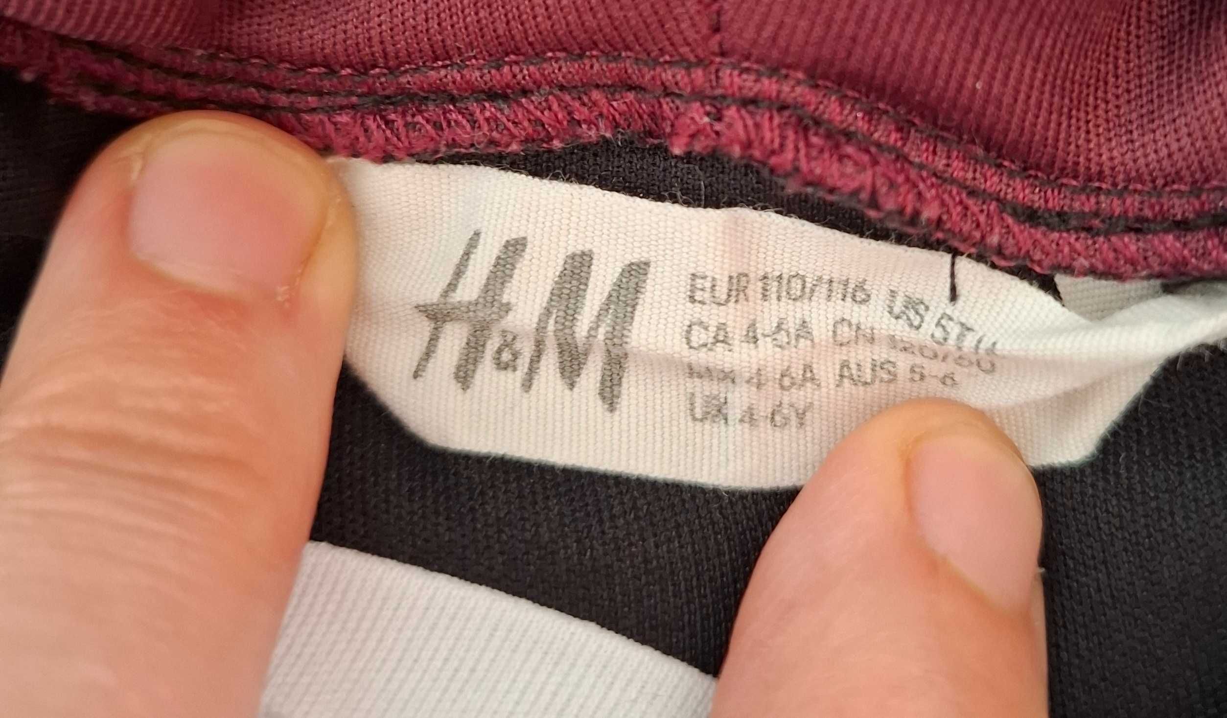 Strój Kostium Przebranie Hermiona Harry Potter Sukienka H&M 110-116