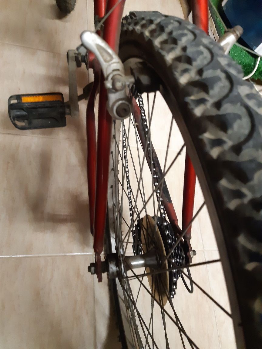 Duas bicicletas   .