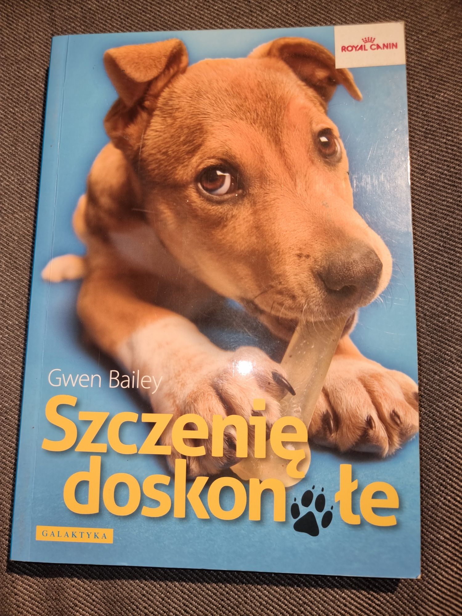 Szczenię doskonałe