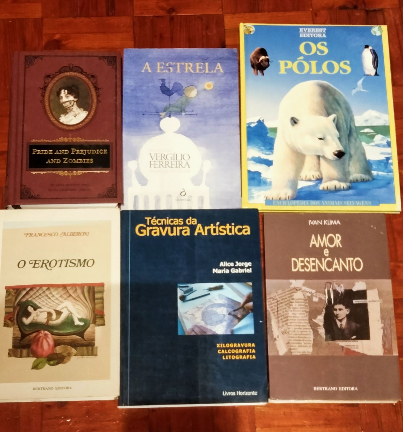 Lote de 30 livros diversos