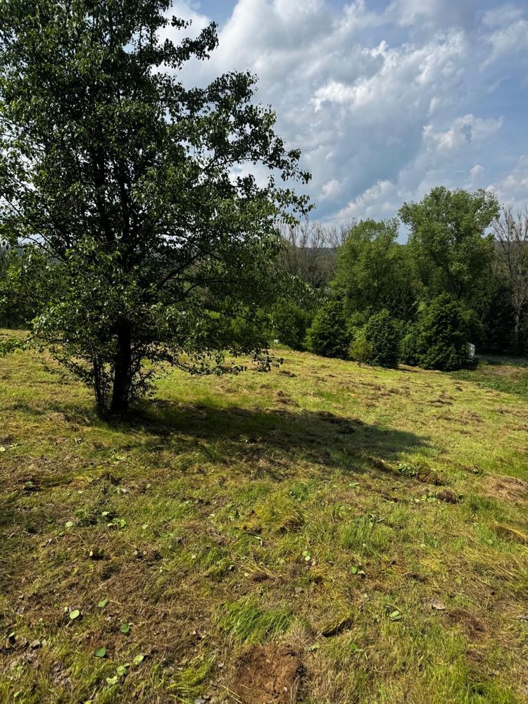 Czyszczenie dzialek , koszenie trawy, wycinka