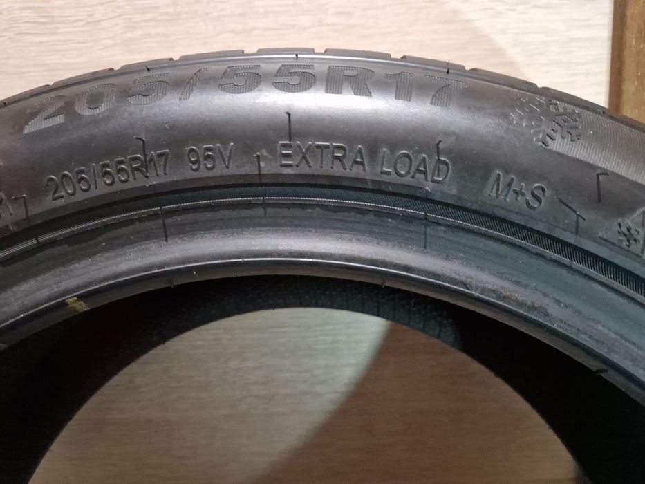 205/55 R17 Triangle WinterX TW401