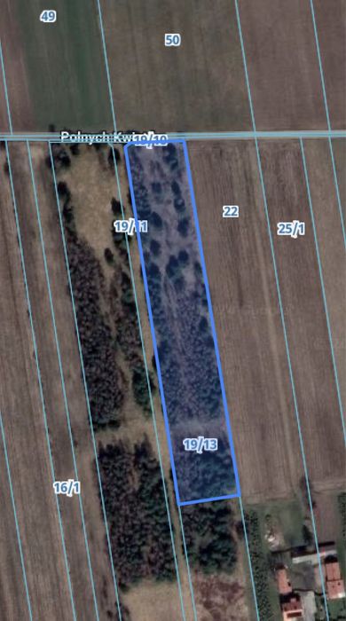 Działka rolno-zagrodowa 1ha, 30min od Warszawy, Ciepłe, możl. Zabudowy