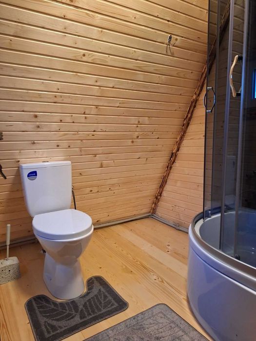 Житло в Карпатах. ' Ніч в Карпатах'