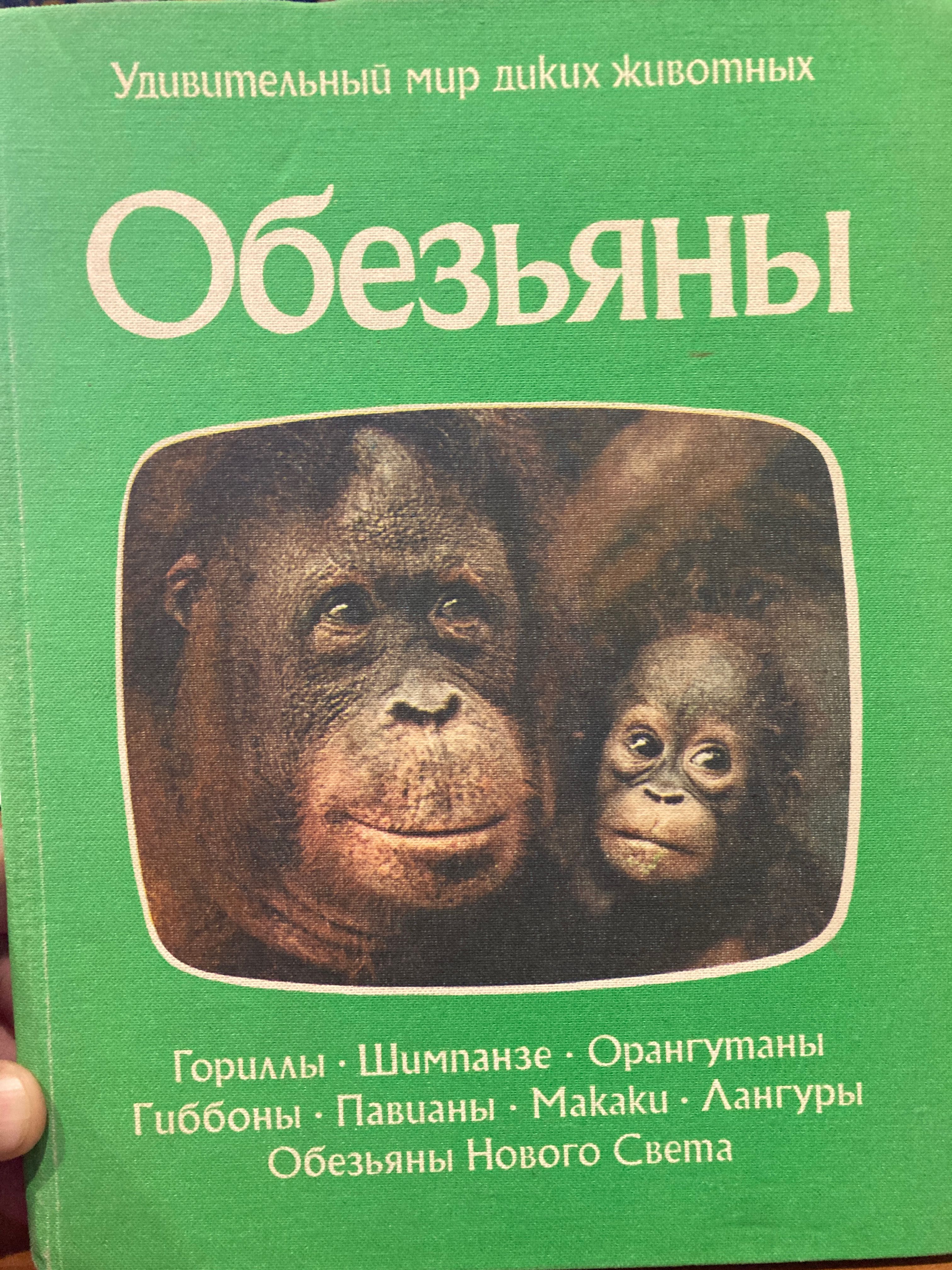 Чотири книги із серії «Дивовижний світ диких тварин». Мова російська