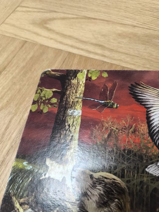 Albik Świat zwierząt