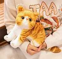 Мягкие игрушки кот, мягкая игрушка реалистичный кот Экзот