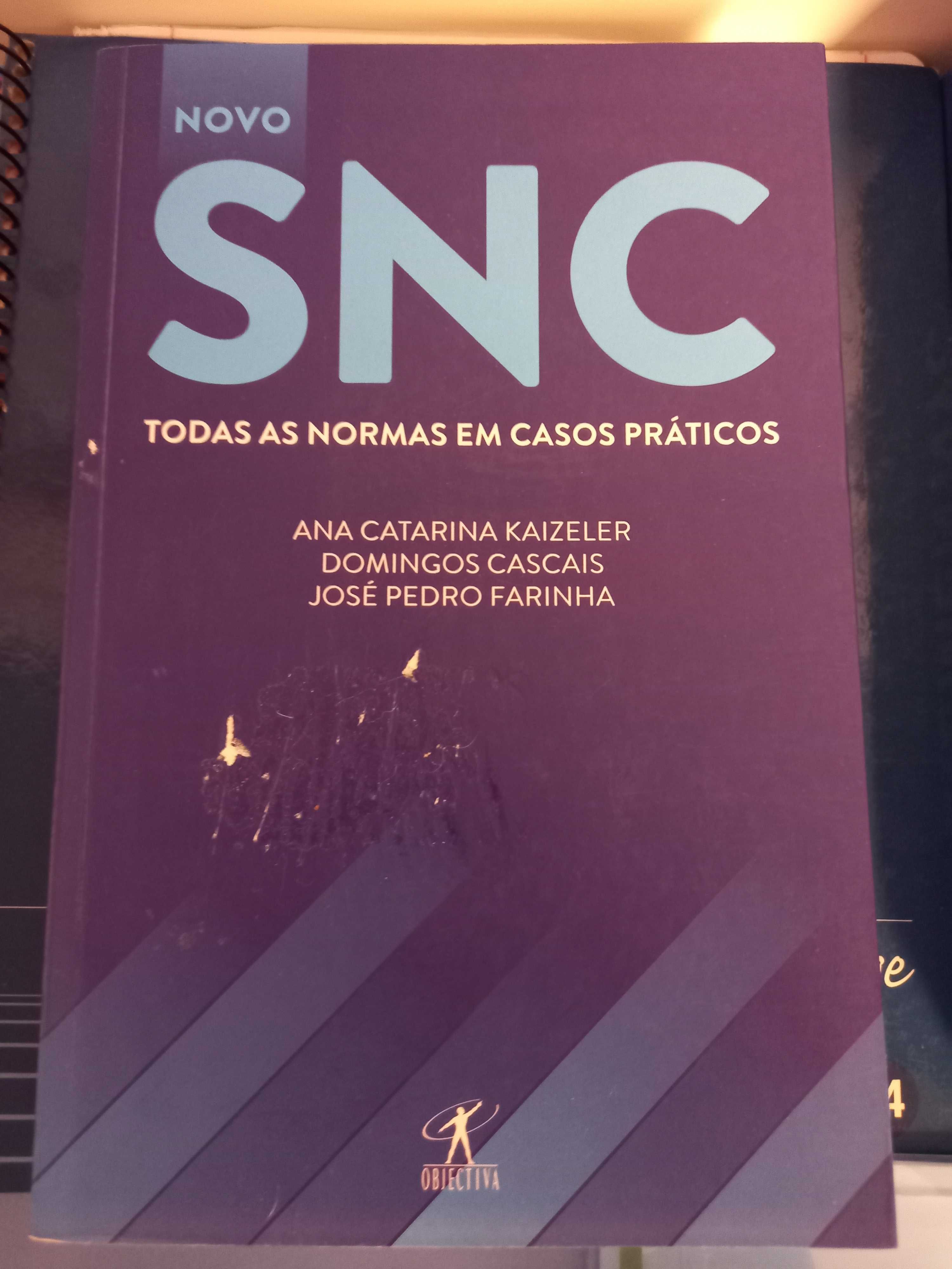 SNC todas as normas em casos práticos