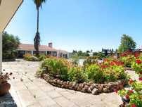 Quinta com olival em Moura, Alentejo