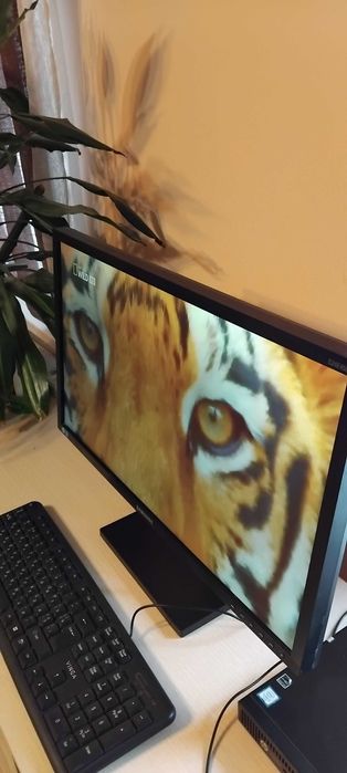 Монитор  Samsung  S24E450