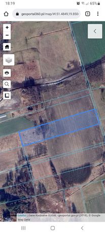 Sprzedam działkę / grunt rolny 10327 m2 - Wolbórz