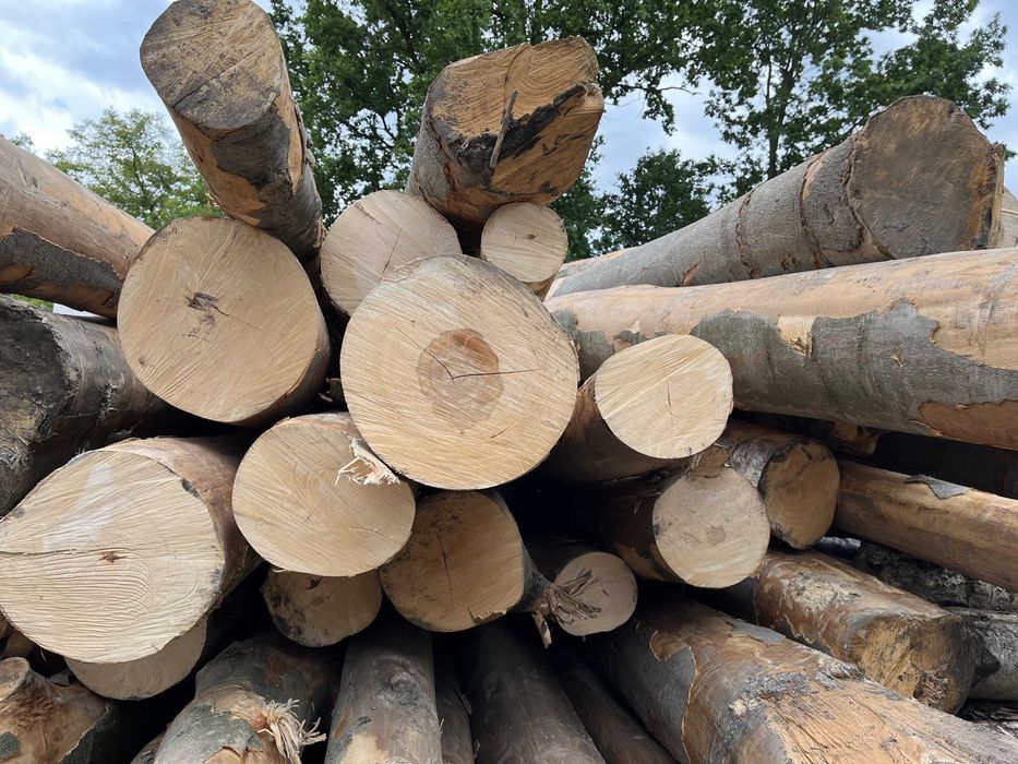 Drewno kominkowe opałowe DĄB BUK BRZOZA SOSNA OLCHA dostawa TYCHY