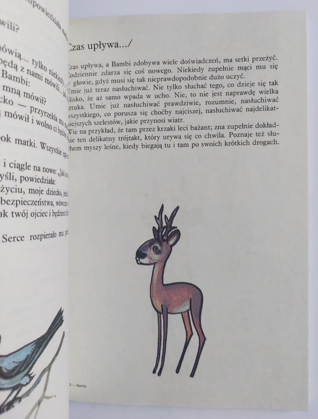 Bambi - Feliks Salten. Książka