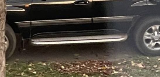 Боковые пороги, подножки, защита (крузак 100, лексус)