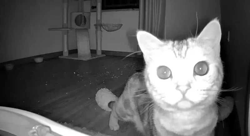 Мини камера видео наблюдение  wifi