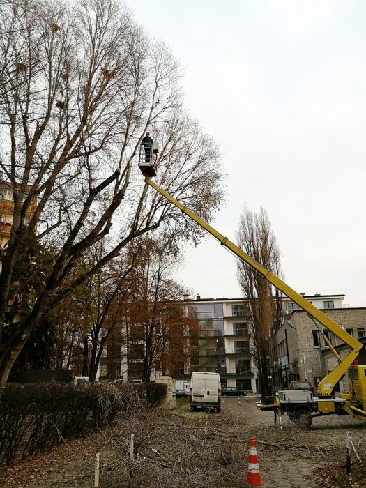 Wycinka drzew usuwanie karp wywóz karp czyszczenie działek