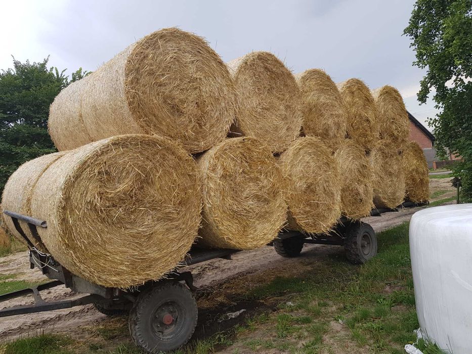 platforma do bel siana słomy, wóz do słomy , platforma